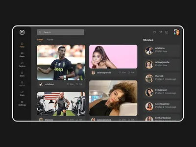 Conceito de Interface do Instagram